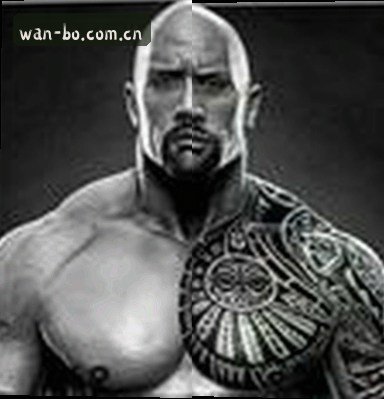 陈涛